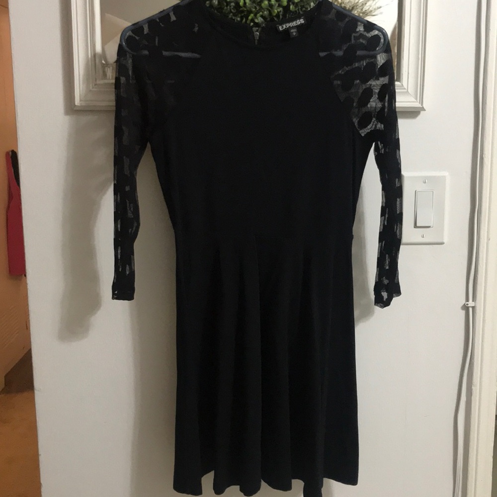 Express Skater Dress